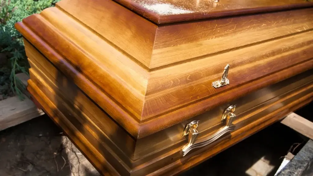 Black Tulip Funerals: Helping Families Understand Cremation Choices