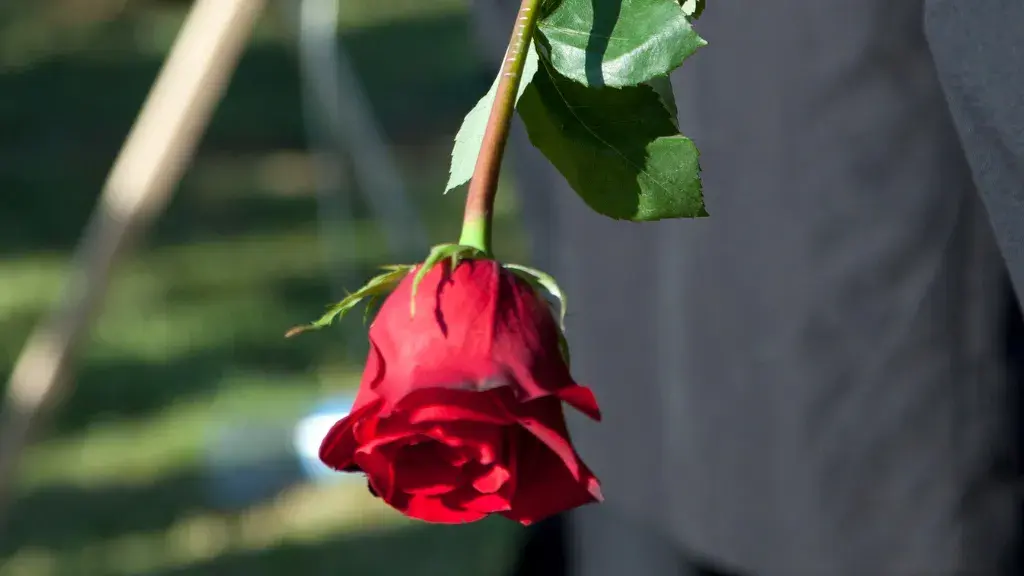 Attending a Cremation Funeral: Do’s and Don’ts Shared by Black Tulip
