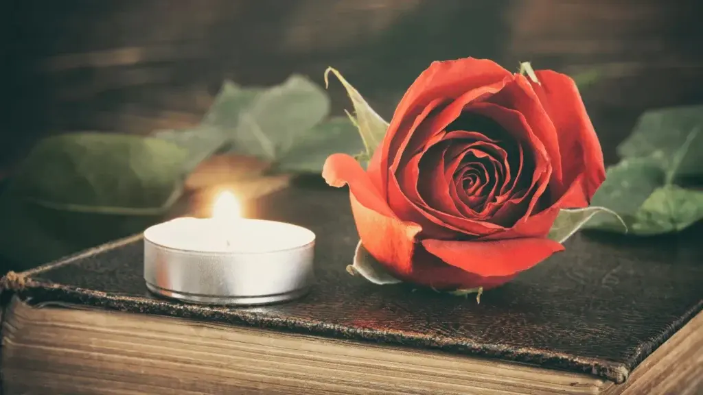 An Overview of Black Tulip Funerals: Services and Support