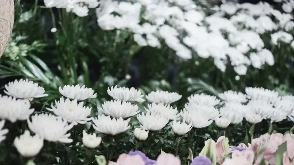 Types of Funerals: Complete Guide to Options & Traditions in Australia