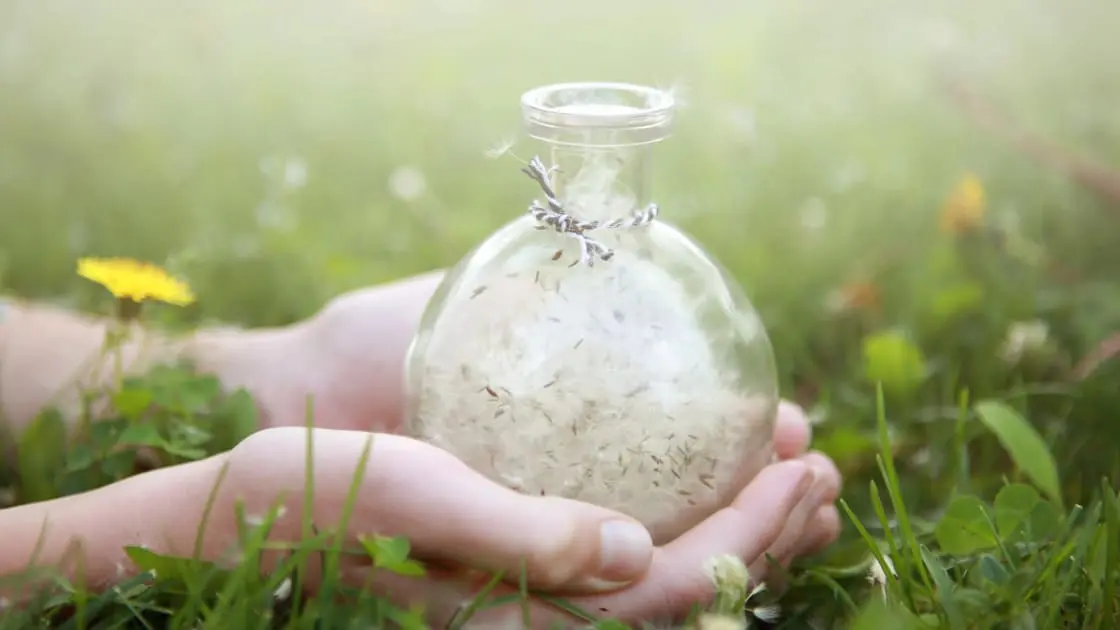 Death Wishes: How to Honour Someone’s Final Requests
