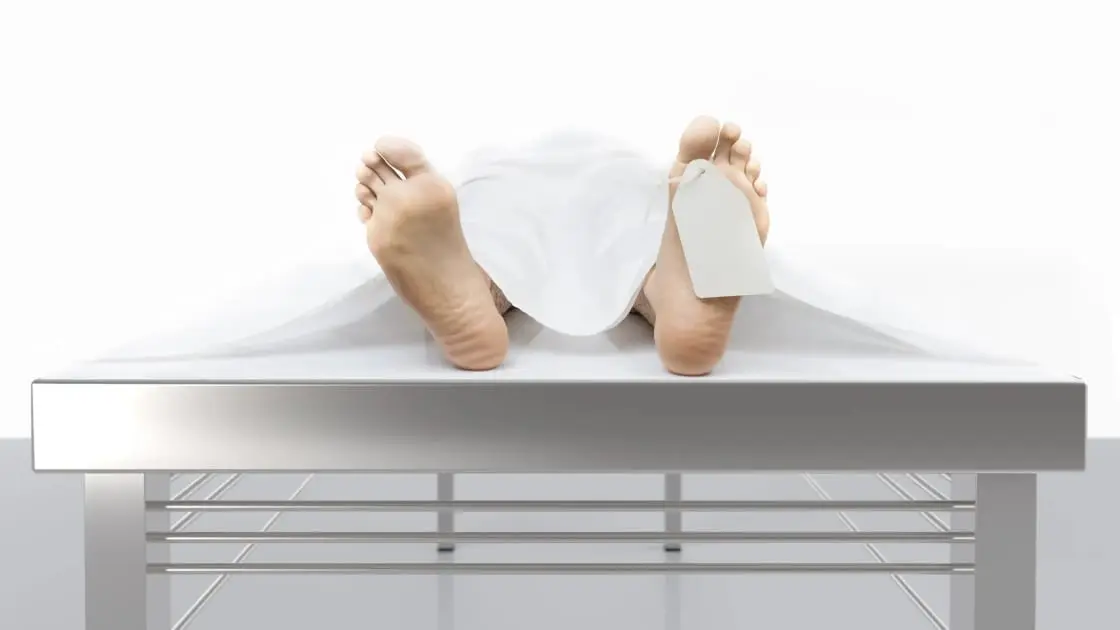 Dying with Dignity NSW: Your Legal Options