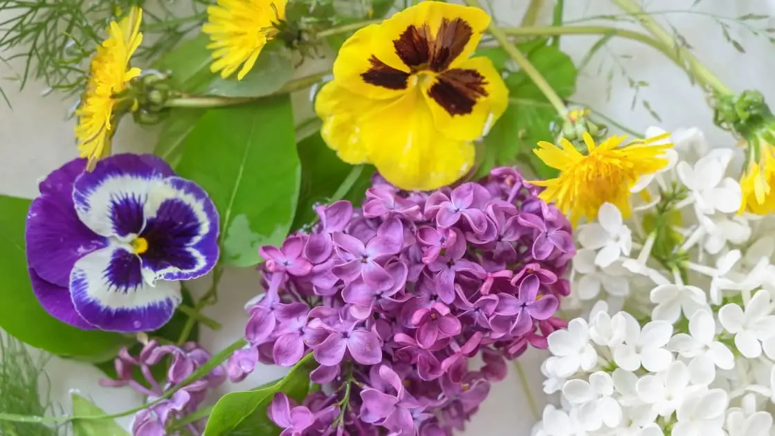 Funeral Flowers Types and Their Meanings