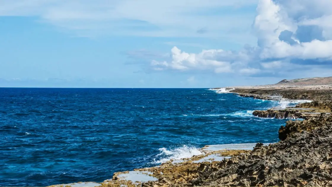 Can You Legally Scatter Ashes in the Ocean What You Need to Know