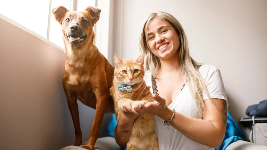 What Is Pet Therapy and How Animals Help Heal Grief and Stress