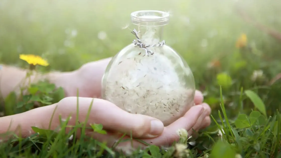 Letter of Final Wishes and Guiding Loved Ones After Death