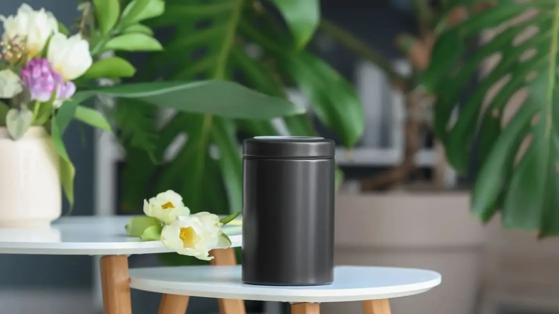 Is It Bad to Keep Ashes at Home? Cultural Beliefs vs Reality