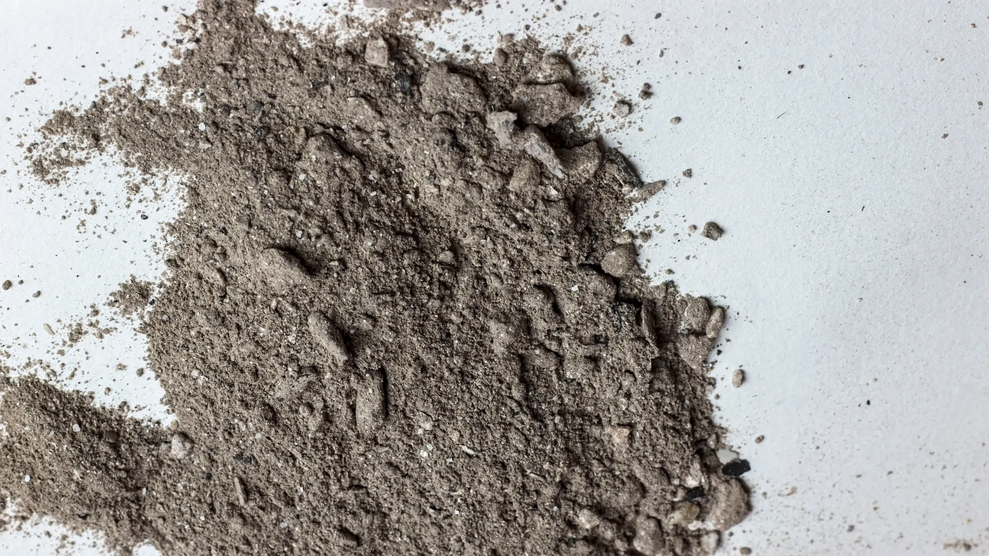 25 Meaningful Things to Do With Ashes After Cremation