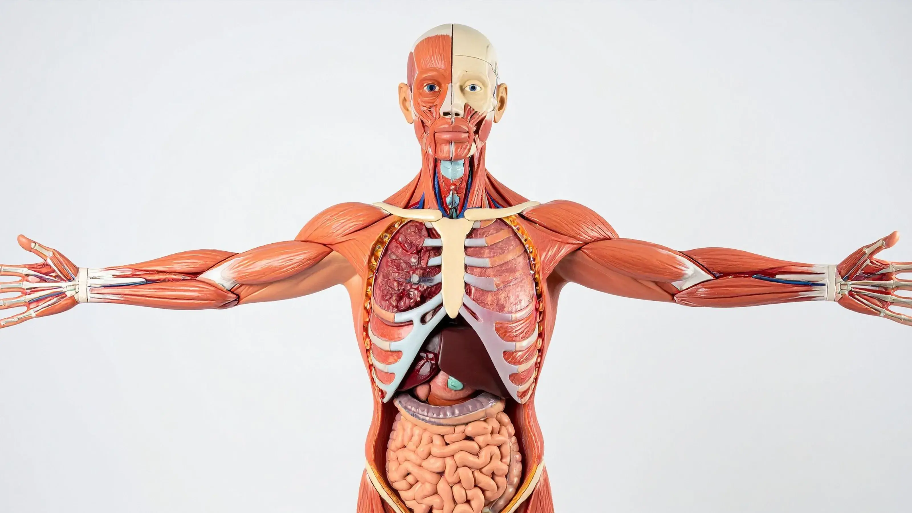 Do You Get Paid to Donate Your Body to Science? What Families Should Know