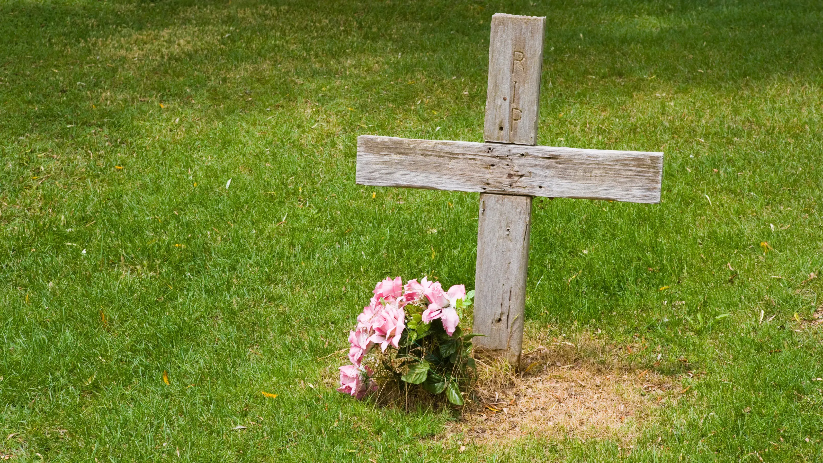 Thoughtful First Anniversary of Death Gift Ideas for Remembrance